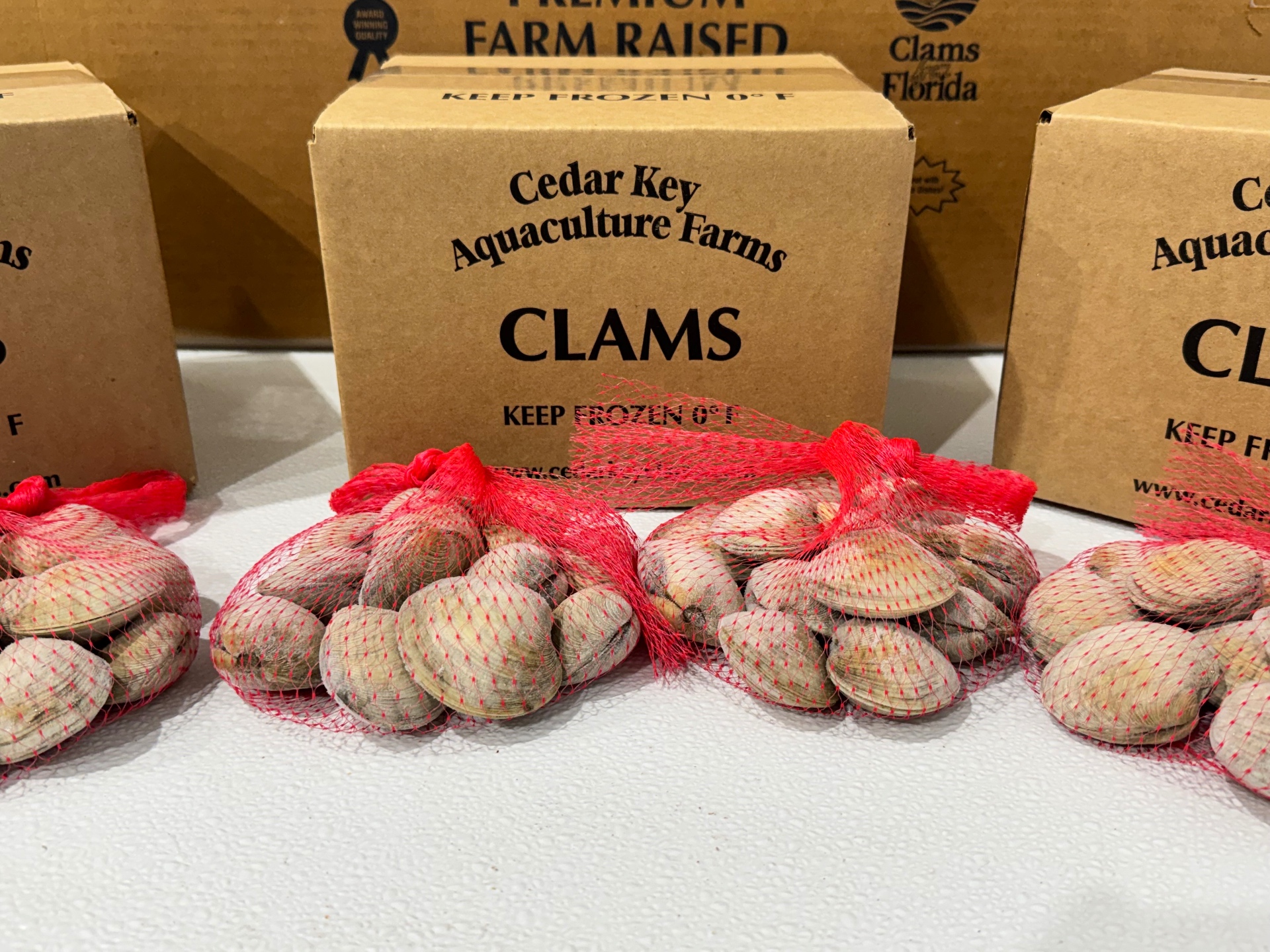Fresh Cedar Key littleneck clams in red mesh bags with branded boxes